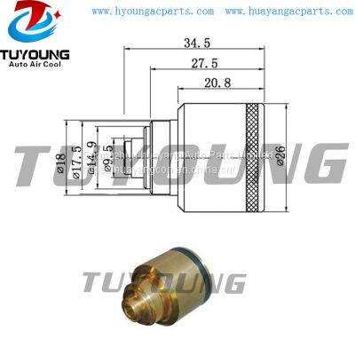 TUYOUNG HY-CR71 Ford Scroll Auto a/c pump control valve Jaguar S-Type XS4H-DE-19D629