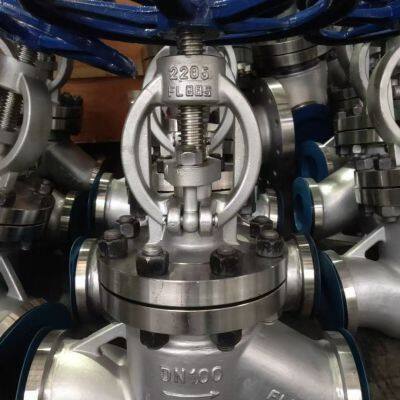 Stainless Steel Globe Valve – High Durability & Corrosion Resistance photo-4