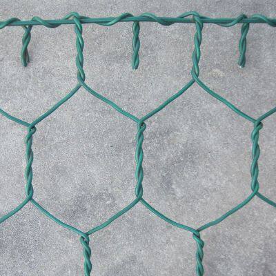 Galvanized Gabion Net for Flood Prevention and Shore Fixation