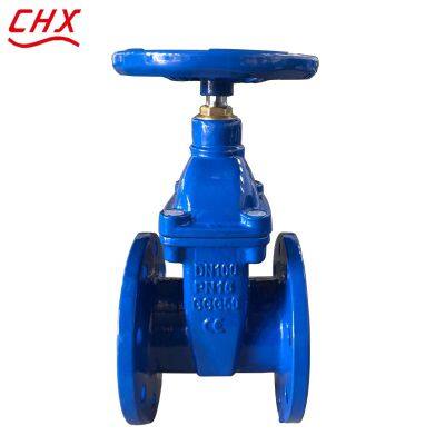 BS Gate Valve Cast Iron Ductile Iron GGG50 GG25 PN16 Flange Gate Valve Non Rising Stem Soft Seal Gate Valve photo-5