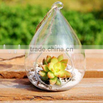 Home Glass Vase For Flower, Garden Ornament, Wedding Decoration