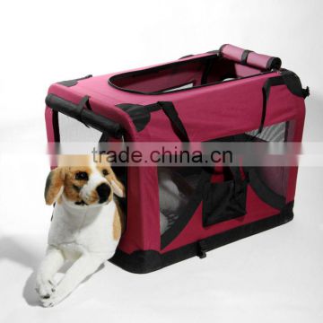 Best Selling Dog Product