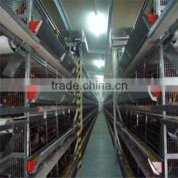 chicken house design /broiler poultry cage