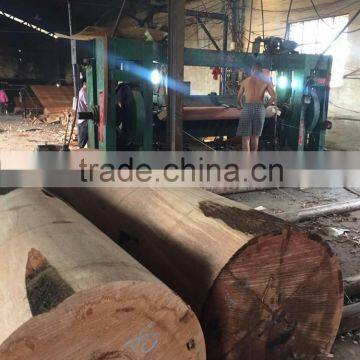 Gurjan Face Veneer/Keruing Face Veneer for Plywood photo-2