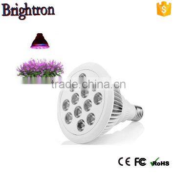 High Quality 5w Chip New Adjustable E27 Cob Led Grow Light photo-3