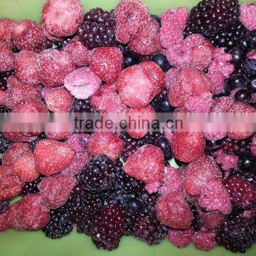 Frozen IQF mixed Berries with BRC kosher certificates