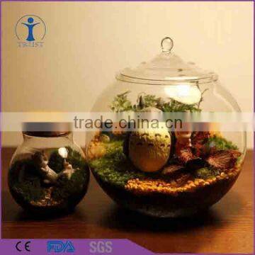 2016 china supplier hot selling mushroom shaped Airtight Glass food Jar with lid