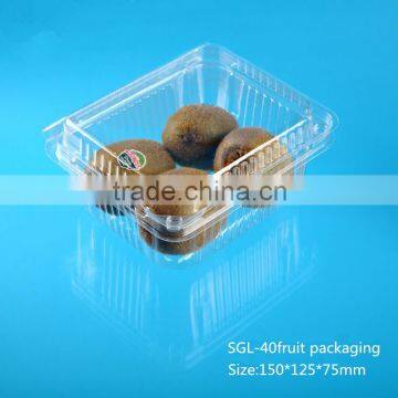Plastic Fruit Container without Dividers