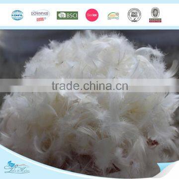 2-4cm washed white goose feather