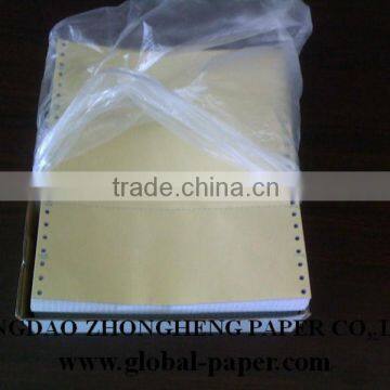 Continuous Computer Form photo-2