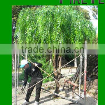 Artificial Weeping Willow tree/high simulation willows