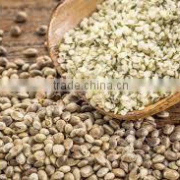 Quality Hemp Seeds