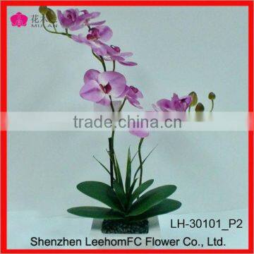 real looking flowers decorate pictures of christmas flowers