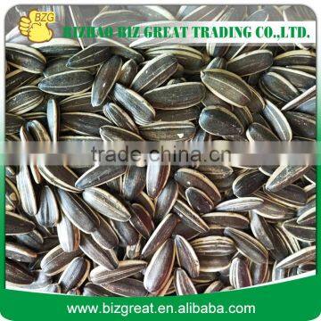 We Supply China Black Sunflower Seeds with good quality