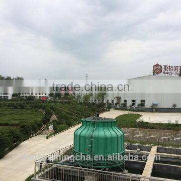 Natural Healthy Supplement 95% Polyphenols Green Tea Extract photo-2