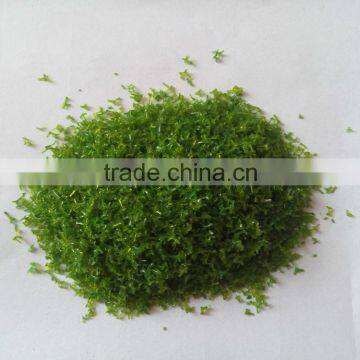 Building Model Material Highlight Tree Powder a