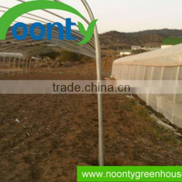 Vegetable Greenhouse