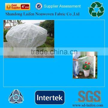 Spunbond Polypropylene Fabric Agriculture and Garden Cover photo-2