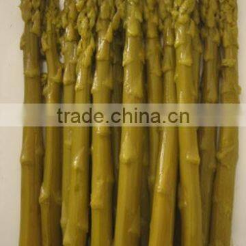 Canned Green Asparagus 340g