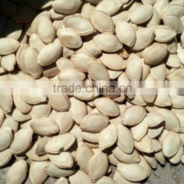 shine skin Pumpkin seeds,2015 new season