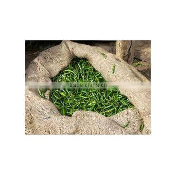 green chilli