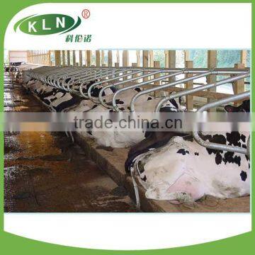 KLN Dairy Farm Cattle Free Stall