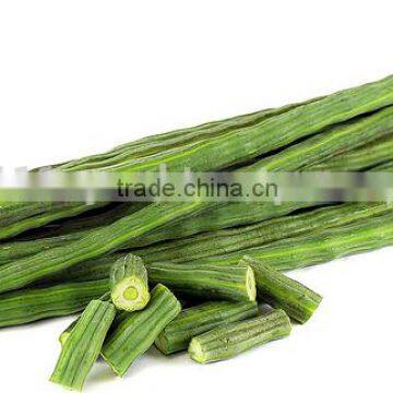 Drumstick Powder, Moringa Pods Powder