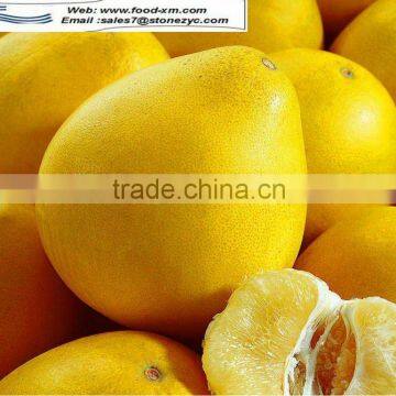 fresh pomelo for sale