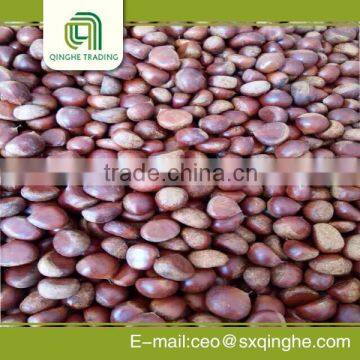 Bulk Chestnut With Great Price