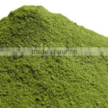 Moringa Oleifera leaves powder