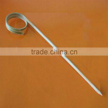 Bamboo Product Best Selling Grade A Ring Bamboo Sticks photo-3