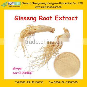 WHOLESALE PANAX GINSENG EXTRACT