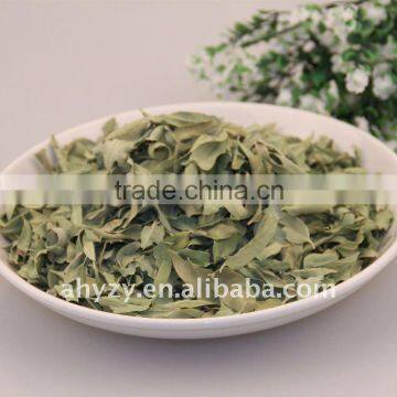 Apocynum leaf(Luobumaye)