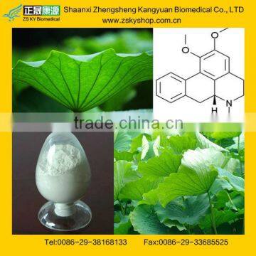 GMP Manufacturer Supply High Quality Nuciferine From Lotus Leaf Extract