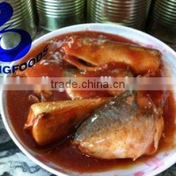 Wholesale China Processed Instant Canned Mackerel in Tomato Sauce Premium Quality