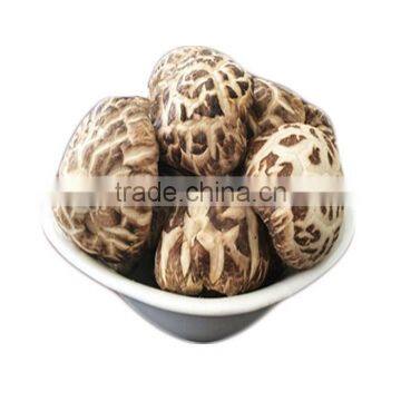 AD dried shiitake mushroom with price best, flower shiitake