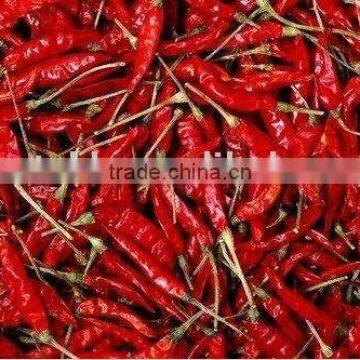 Dehydrated Chilli