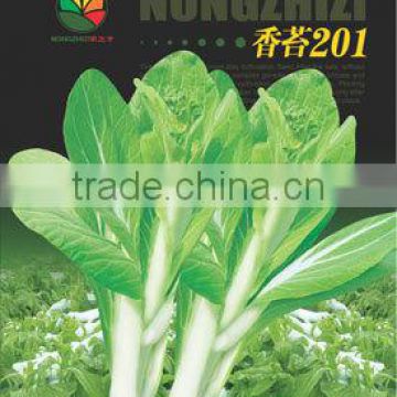 PK05 No.201 early maturity white pakchoi shum seeds, hybrid pakchoi seeds for planting