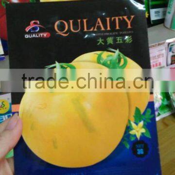 Medium matuirty high yield yellow tomato seeds