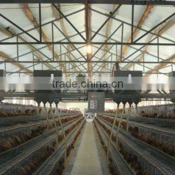 customized automatic chicken farming equipment