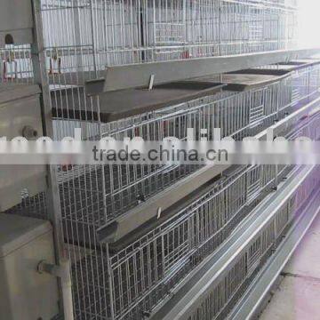 broiler cage system