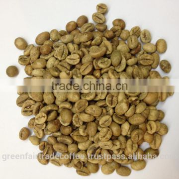 vietnamese green coffee beans Arabica grade 1 screen 16