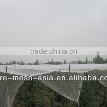 100% virgin HDPE knitted anti hail net