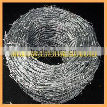 all kind of galvanized BWG 12 X 14 double wire barbed wire