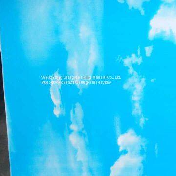 Гипсокартон с бумажной облицовкой (для штукатурных стен) / гипсокартон с ПВХ-ламинатом / гипсокартон для потолков photo-2