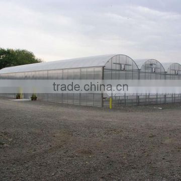 Galvanized Steel Tube Farm Polycarbonate Sheet Greenhouse