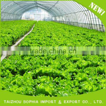 Various good quality 200 micron greenhouse film