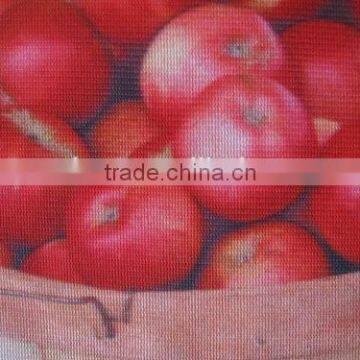 PVC Vinly for Famous Fruit Paintings/ PVC Adhesive Vinyl Sticker