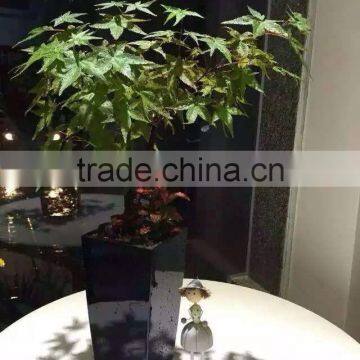 Made in China Round Baking Finish Self-watering Planters photo-6