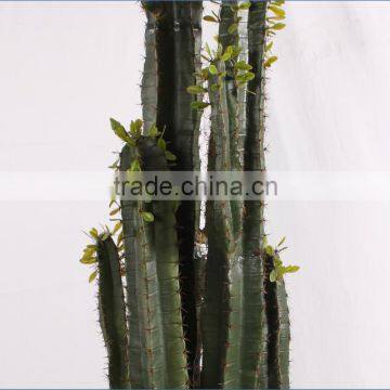 SJ3001015 Hot Artificial Cactus Plant Plastic Cactus Craft Plant/indoor Decorative Cactus photo-3